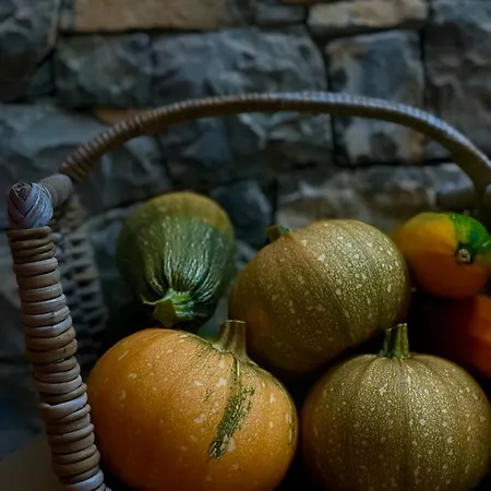 Restored Stone Overlooking Menton 度假居 Puygaillard-de-Quercy