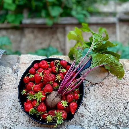 Restored Stone Overlooking Menton 度假居 *