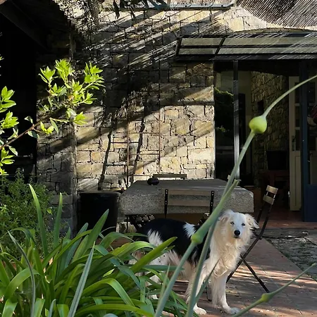 度假居 Restored Stone Overlooking Menton Puygaillard-de-Quercy