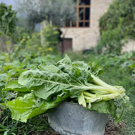 度假居 Restored Stone Overlooking Menton Puygaillard-de-Quercy